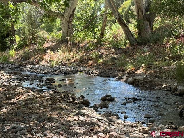 125 Deep Creek Ranch Road, Unit DEEP CREEK RANCH Glenwood, NM 88039 - Photo 18 of 34