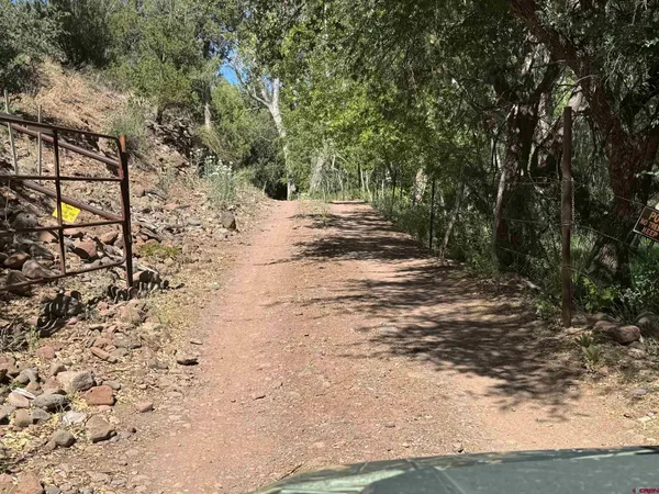 a view of dirt yard with a tree