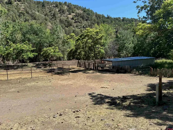 a view of a yard with a tree