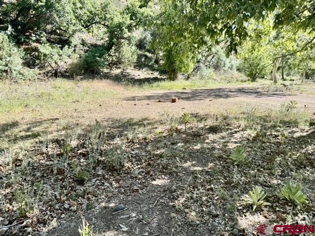 125 Deep Creek Ranch Road, Unit DEEP CREEK RANCH Glenwood, NM 88039 - Photo 26 of 34