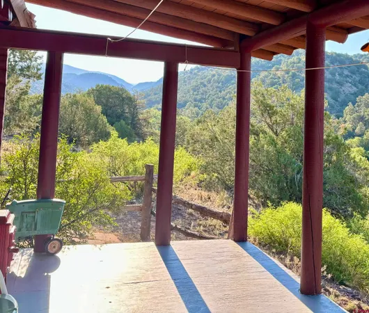 a view of a garden from a window