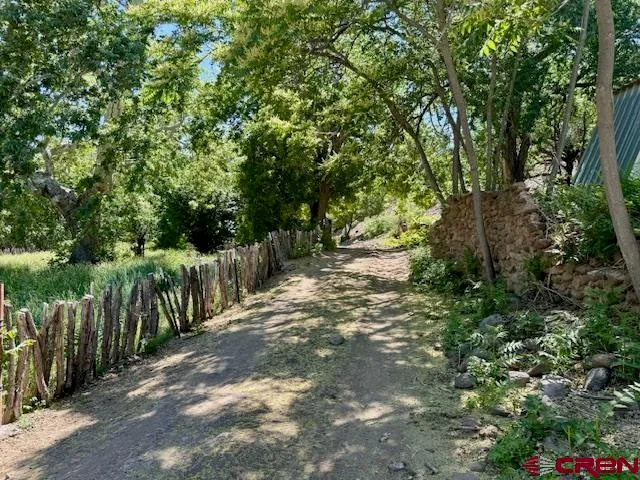 a view of a forest with trees