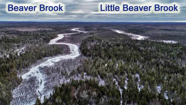 $29,500 | Lot 10 Fire Road, Houlton, ME 04730