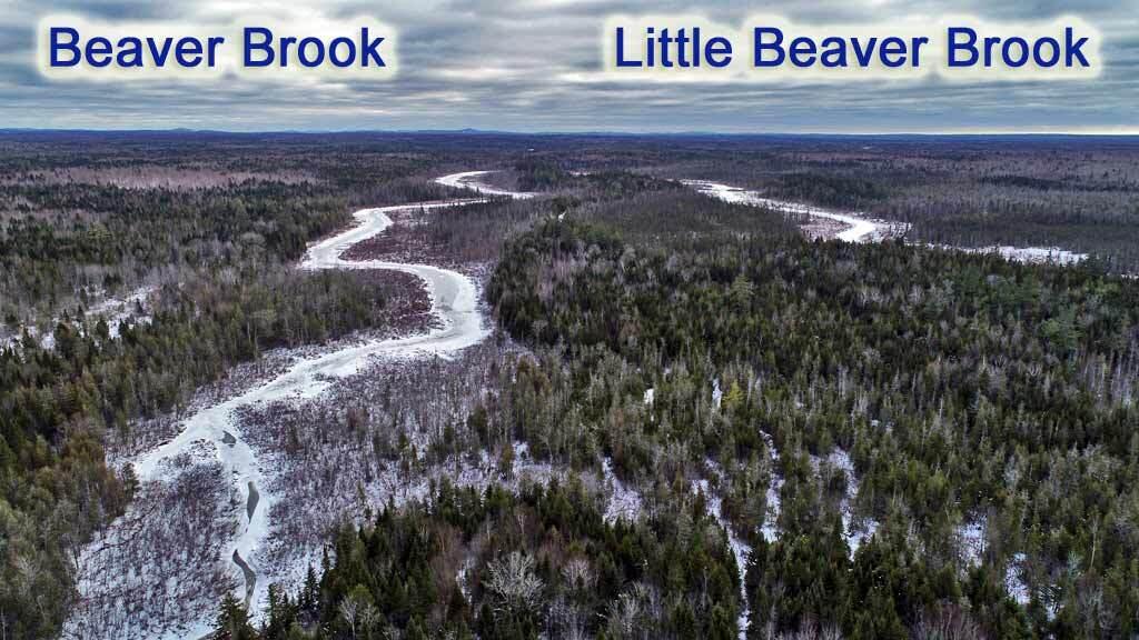 Lot 10 Fire Road Houlton, ME 04730 - Photo 3 of 12 beaver-brook-land-frontage