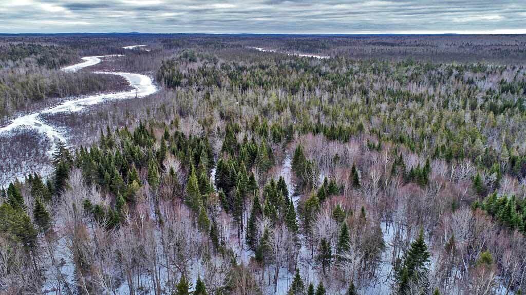 Lot 10 Fire Road Houlton, ME 04730 - Photo 9 of 12 beaver-brook-land-aerials