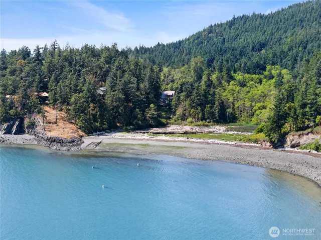 a view of swimming pool with a yard and large trees