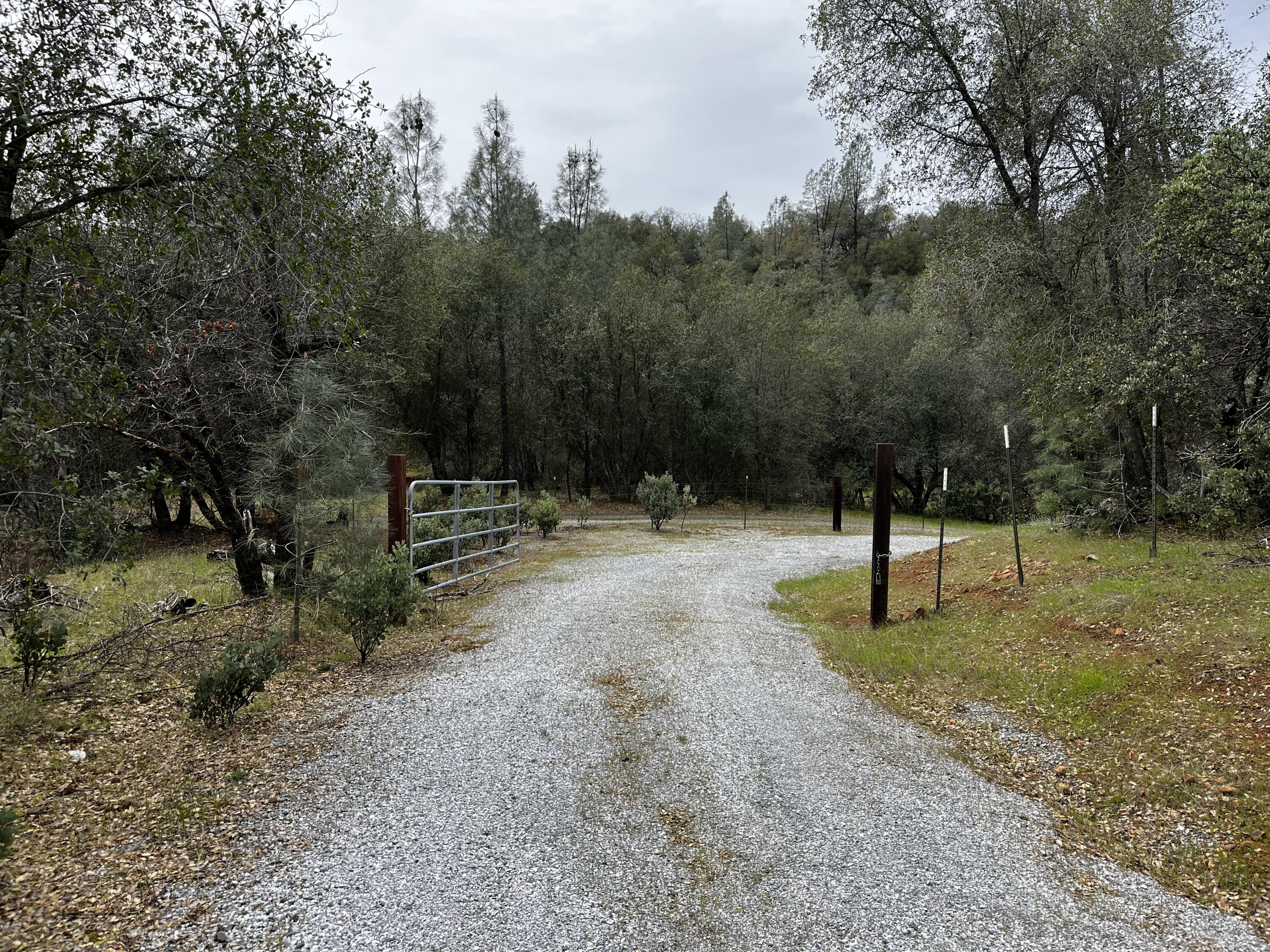 Swede Creek Road Oak Run, CA 96069 - Photo 1 of 16 IMG_8760