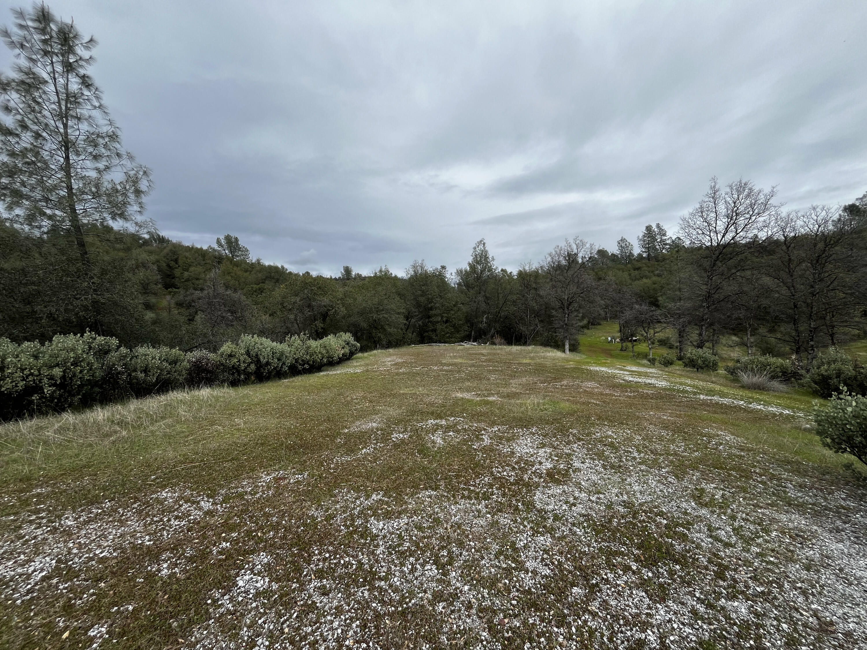 Swede Creek Road Oak Run, CA 96069 - Photo 14 of 16 IMG_8759