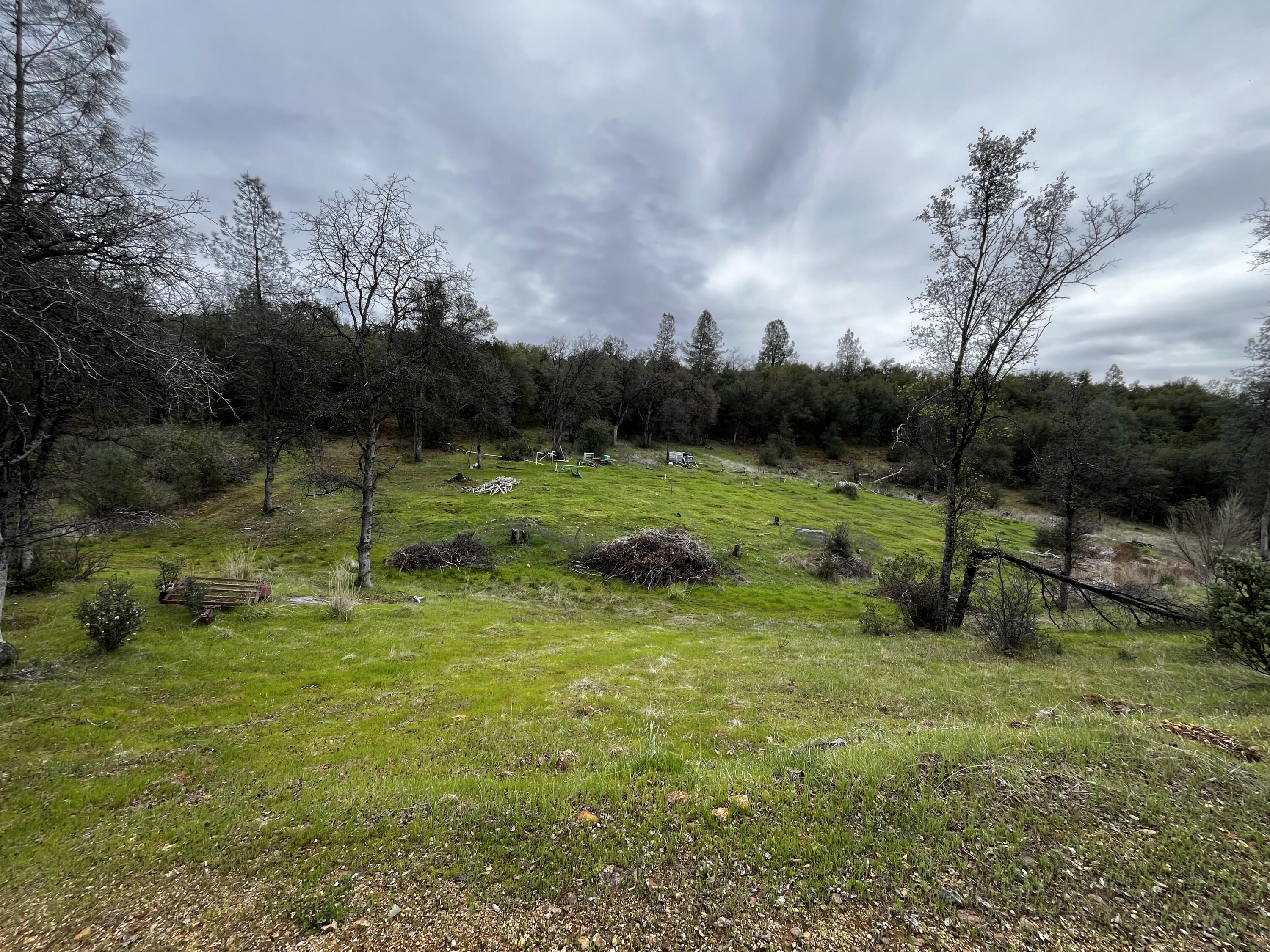 Swede Creek Road Oak Run, CA 96069 - Photo 3 of 16 IMG_8731