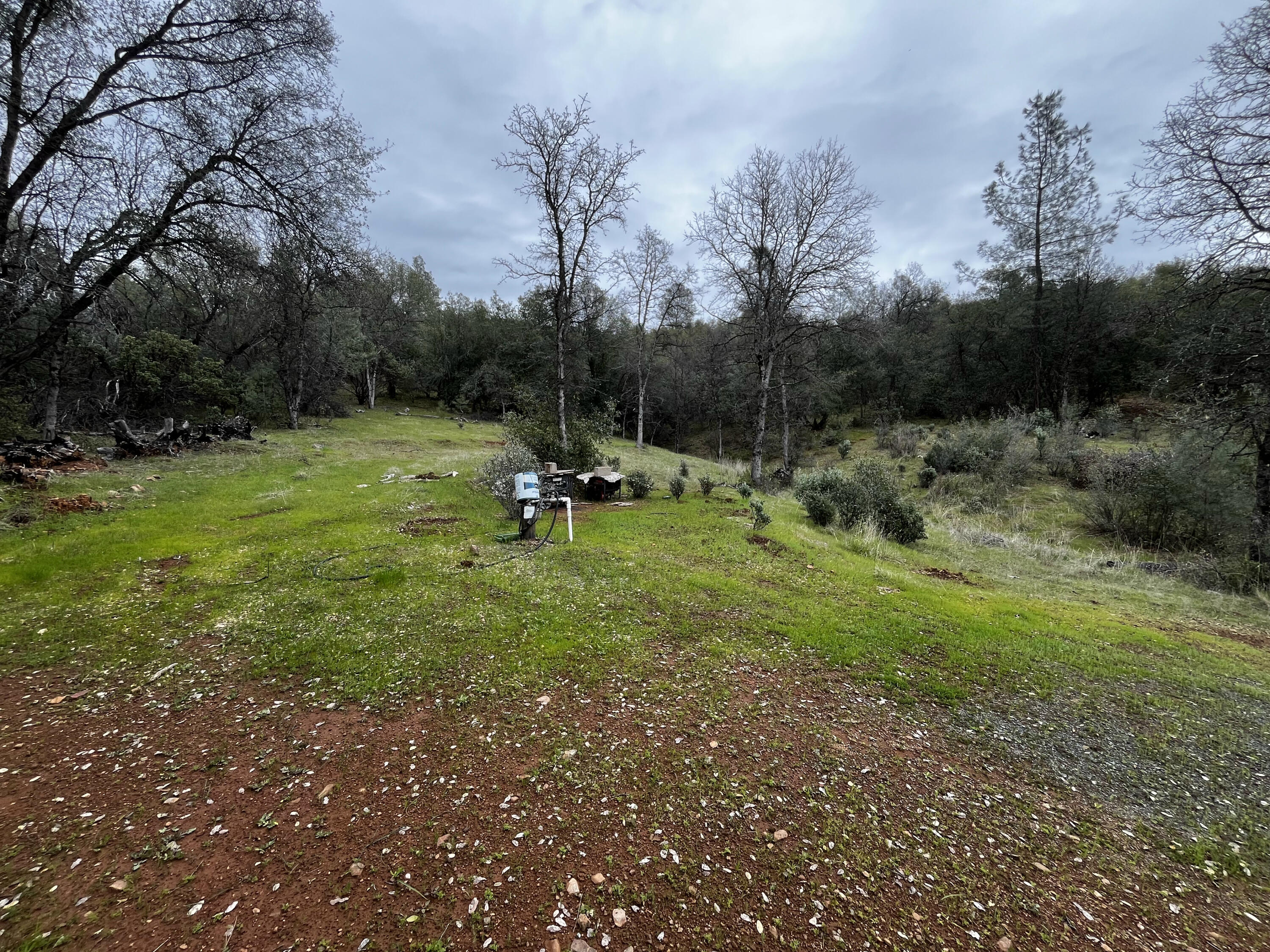 Swede Creek Road Oak Run, CA 96069 - Photo 4 of 16 IMG_8735