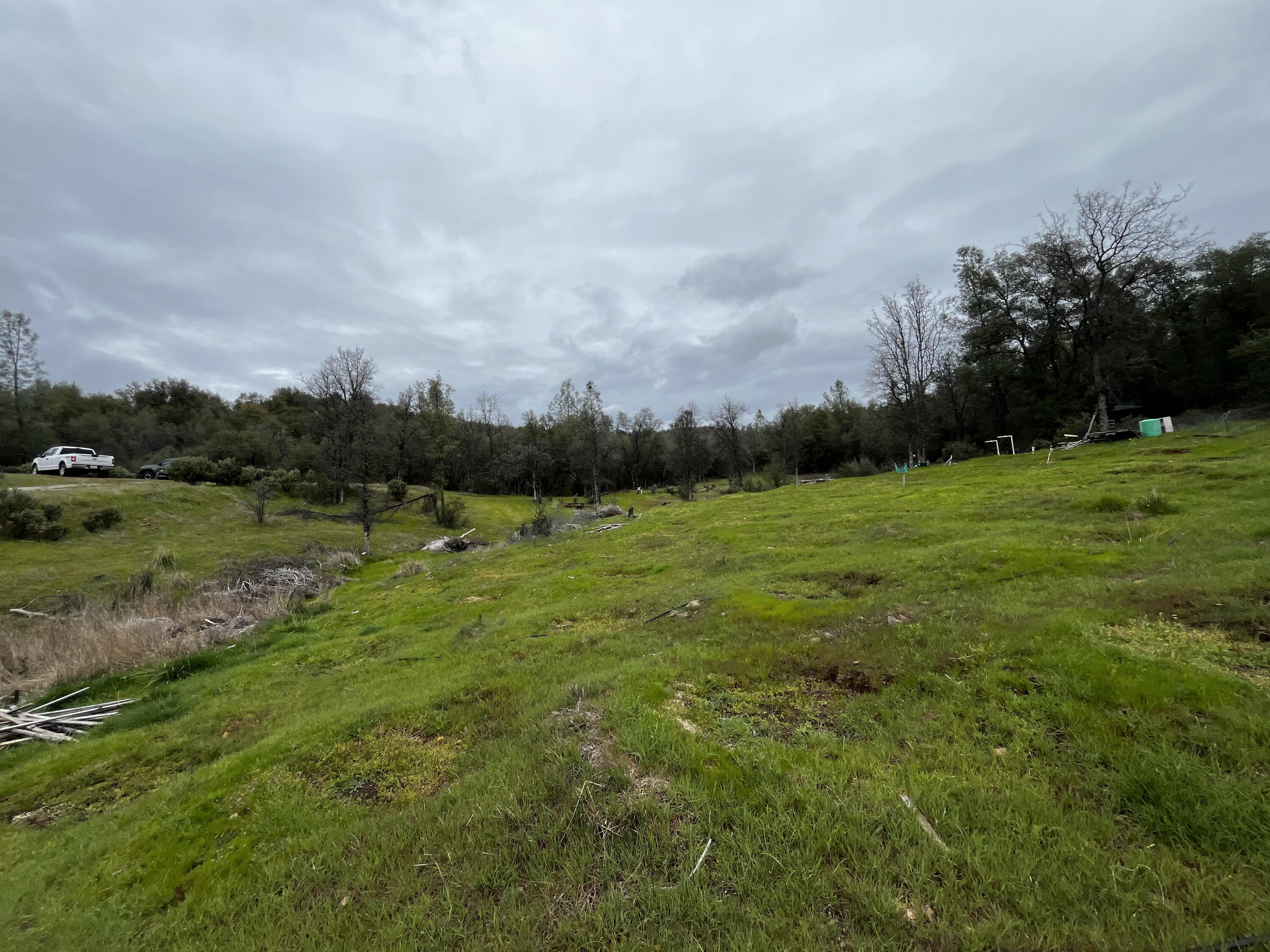 Swede Creek Road Oak Run, CA 96069 - Photo 10 of 16 IMG_8745