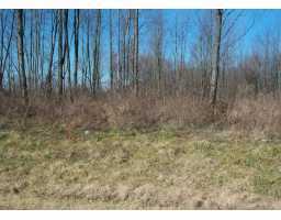 Blevins Gap Road, Unit TRACT 6 Louisville, KY 40272 - Photo 1 of 1 Primary Photo