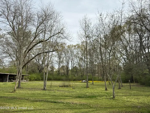 $121,000 | 204 Highway 500, Lena, MS 39094