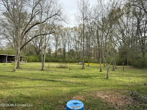$121,000 | 204 Highway 500, Lena, MS 39094