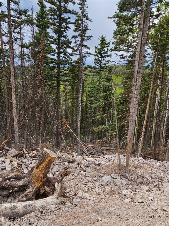 39 West Village Beaver, UT 84713 - Photo 2 of 10 View of tree filled area
