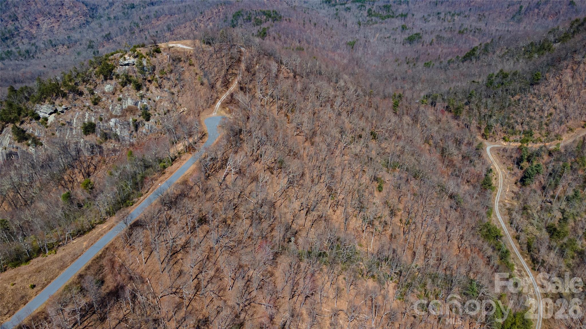 0 Devin Ridge Ln Union Mills, Unit 99 Union Mills, NC 28167 - Photo 3 of 10