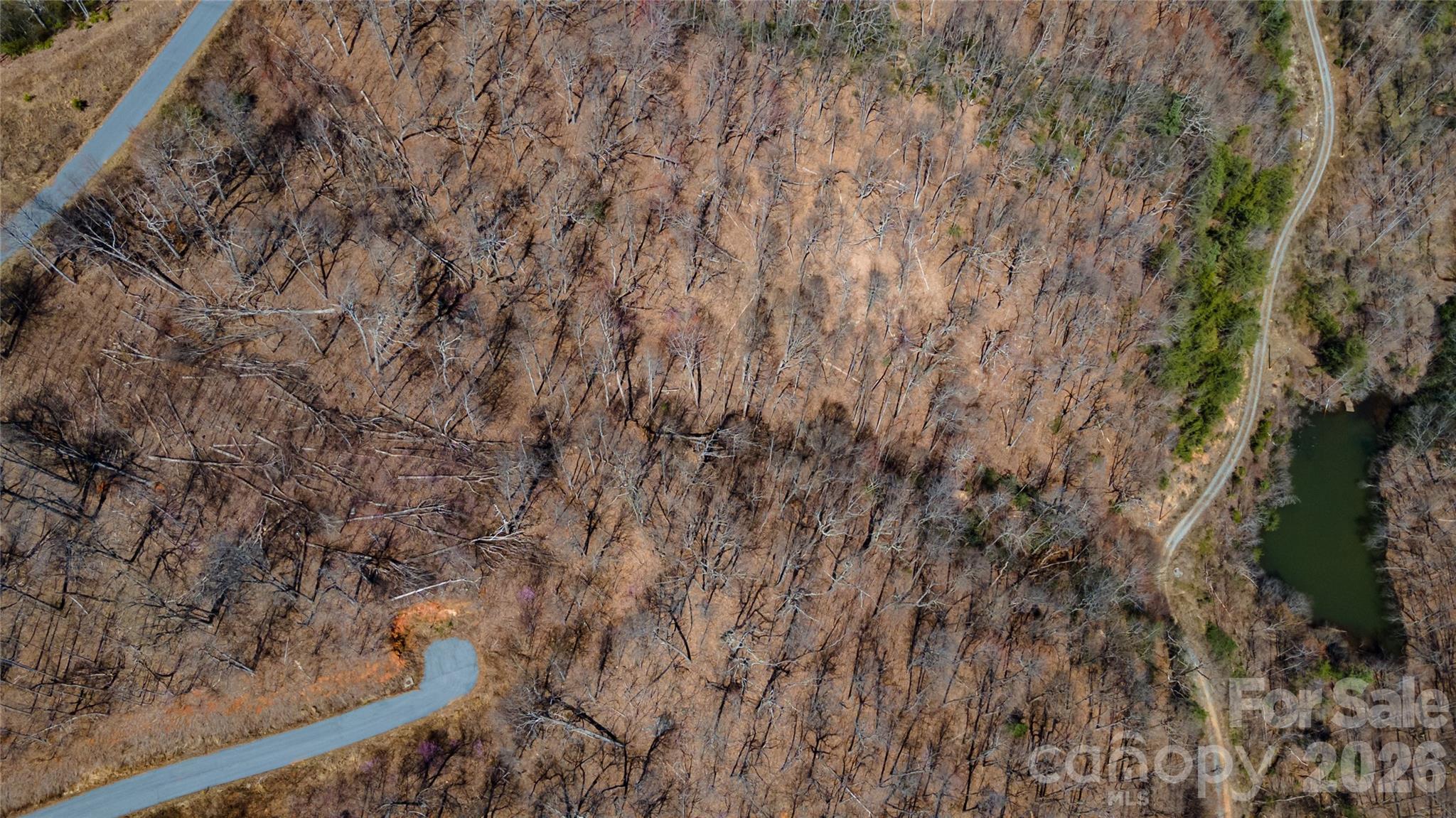 0 Devin Ridge Ln Union Mills, Unit 99 Union Mills, NC 28167 - Photo 4 of 10