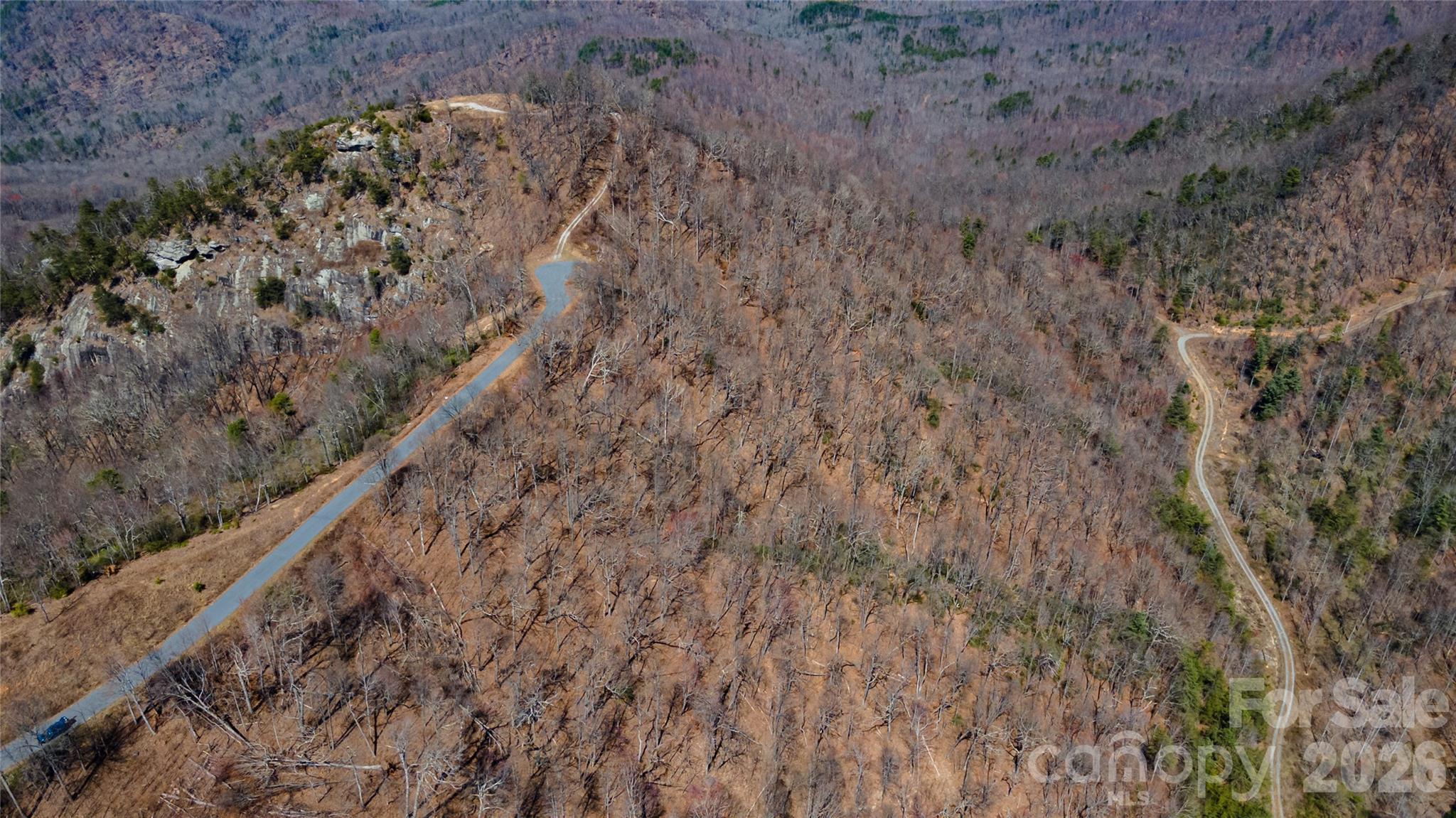 0 Devin Ridge Ln Union Mills, Unit 99 Union Mills, NC 28167 - Photo 5 of 10 a close up of a forest