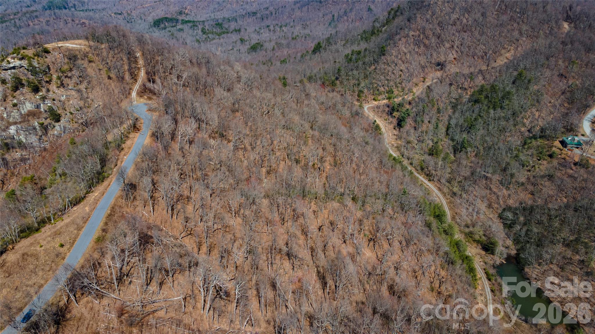 0 Devin Ridge Ln Union Mills, Unit 99 Union Mills, NC 28167 - Photo 6 of 10 a view of a dry yard with trees