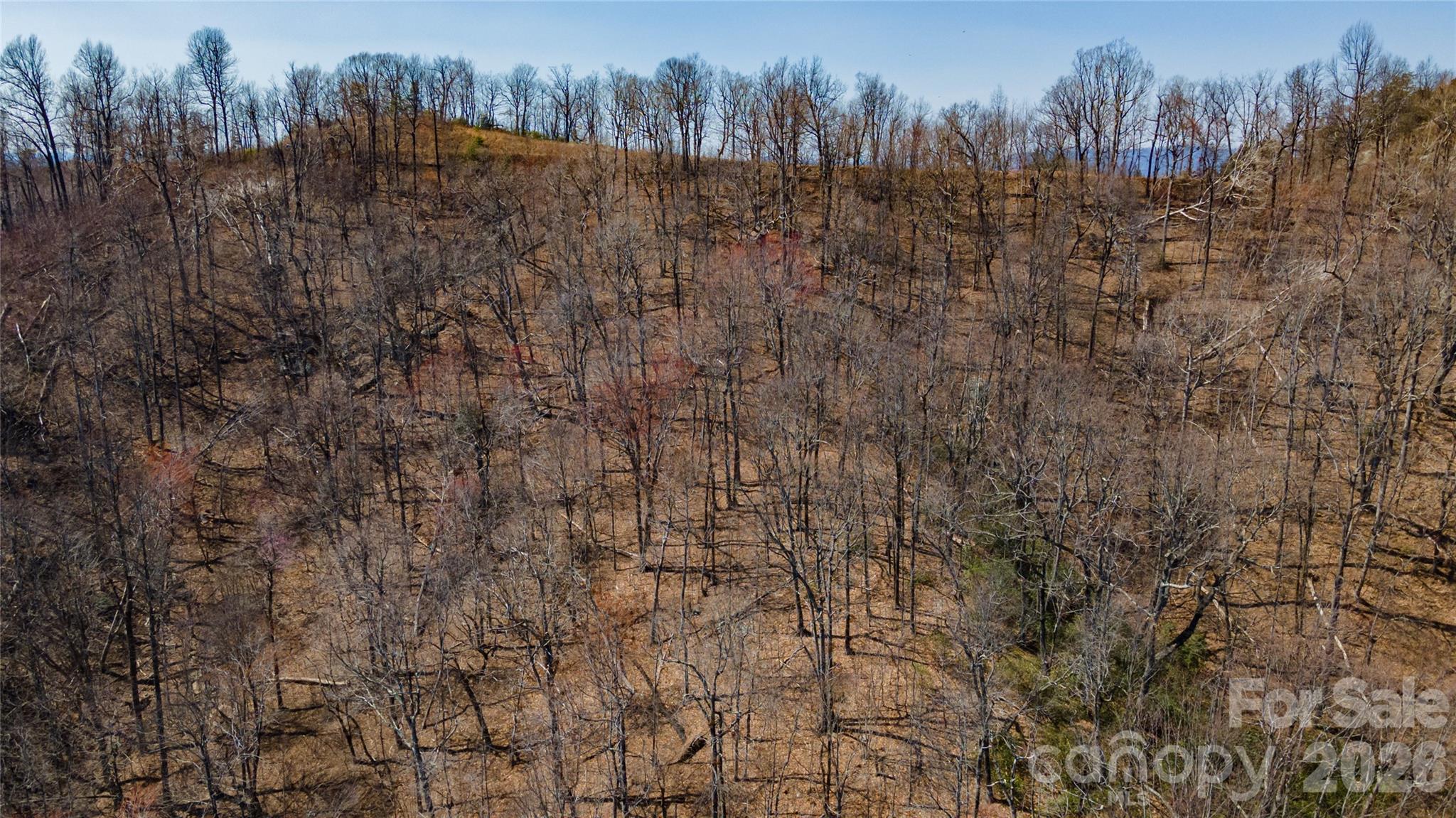 0 Devin Ridge Ln Union Mills, Unit 99 Union Mills, NC 28167 - Photo 8 of 10 a view of a yard with trees and houses