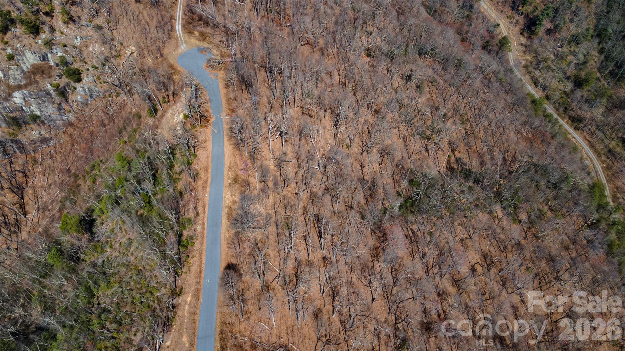 0 Devin Ridge Ln Union Mills, Unit 99 Union Mills, NC 28167 - Photo 10 of 10 a close up of a plant in a forest