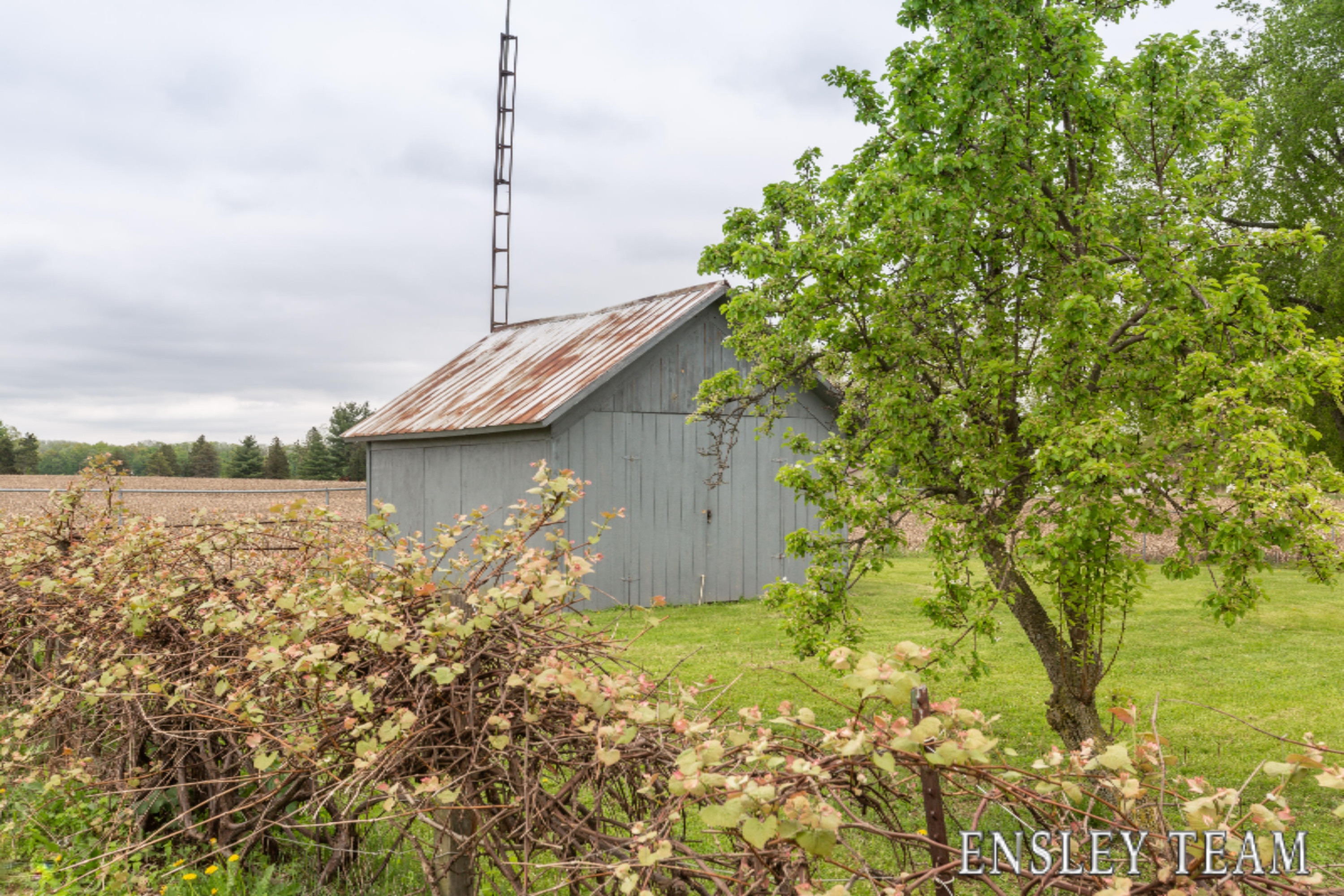1233 Waldron Road South Crystal, MI 48818 - Photo 5 of 19 Ensley Team-1233 Waldron Rd Crystal-4