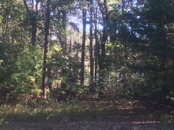 0 Lee Road South Deerfield, MA 01373 - Photo 6 of 9 Gallery Image 6
