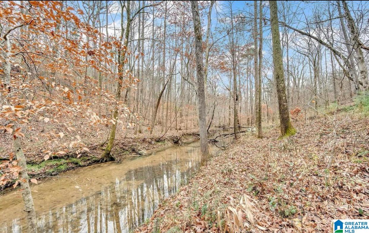 874 Mill Creek Road Warrior, AL 35180 - Photo 43 of 47