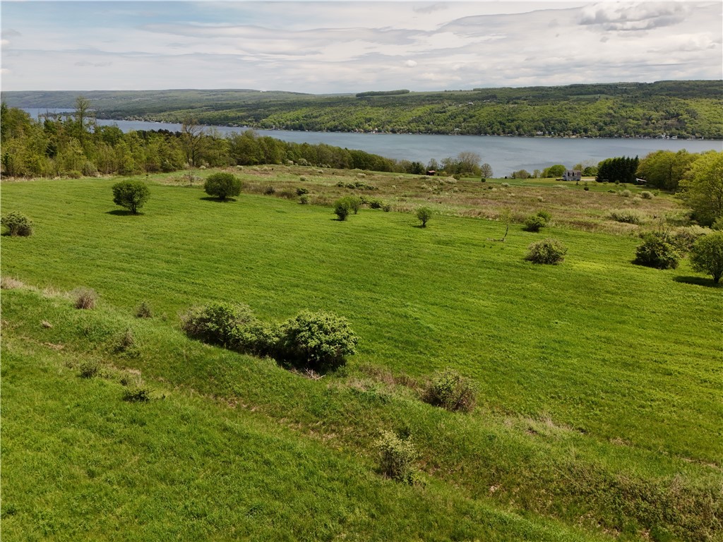 0 Middle Road Hammondsport, NY 14840 - Photo 9 of 20