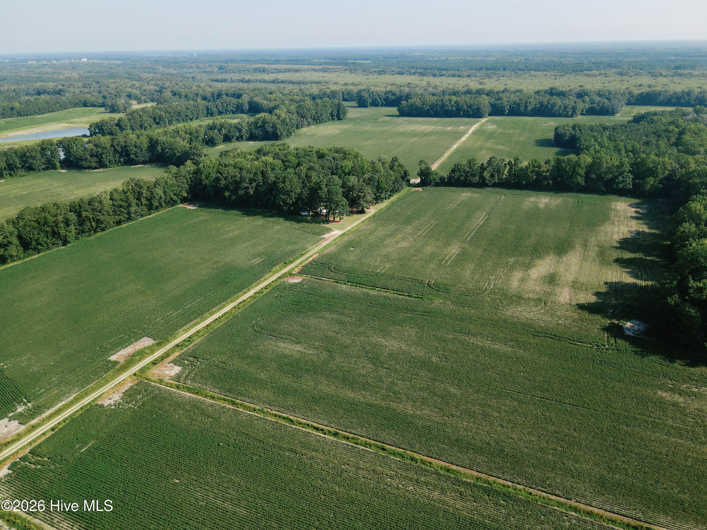 424 Dail Road Grimesland, NC 27837 - Photo 6 of 33 Gallery Image 6