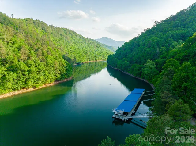 a view of a yard with plants and large trees