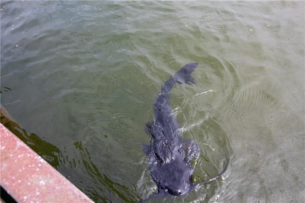 11701 Highway 359 Mathis, TX 78368 - Photo 25 of 35