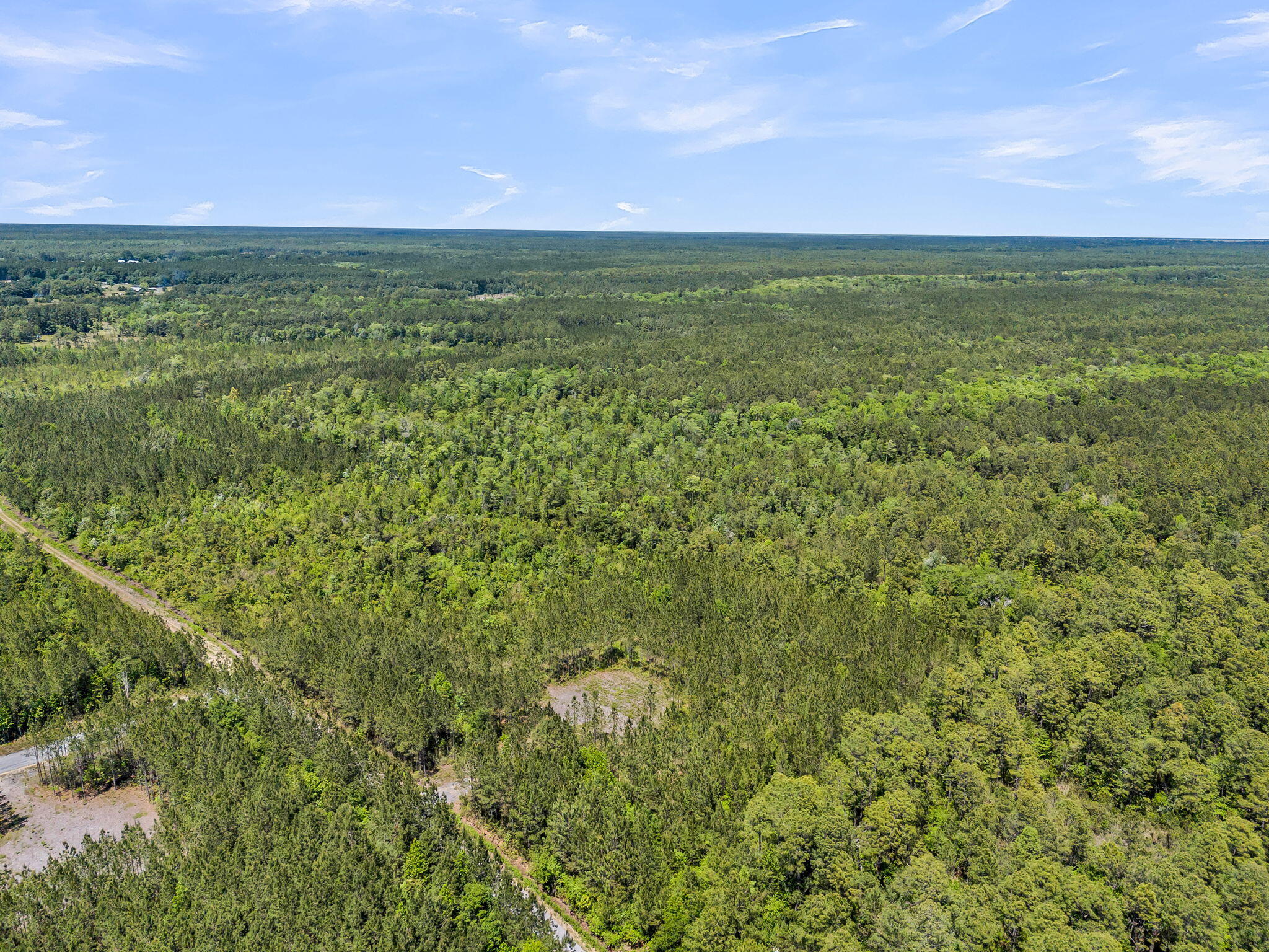 0 Deas Hill Road McClellanville, SC 29458 - Photo 10 of 20