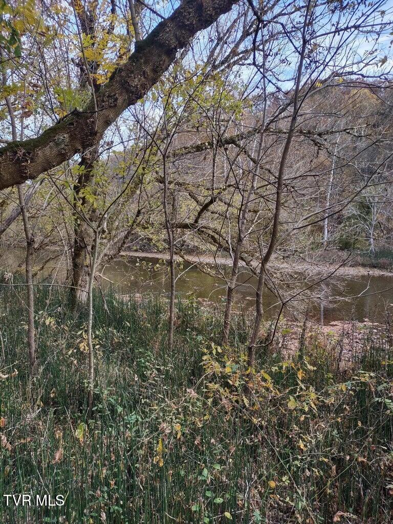 Tbd North Fork River Road, Unit 3 Abingdon, VA 24210 - Photo 6 of 34 *