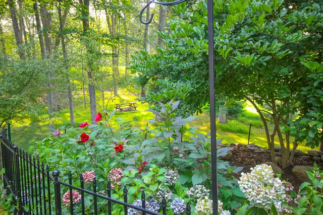 a view of yard with swimming pool and trees