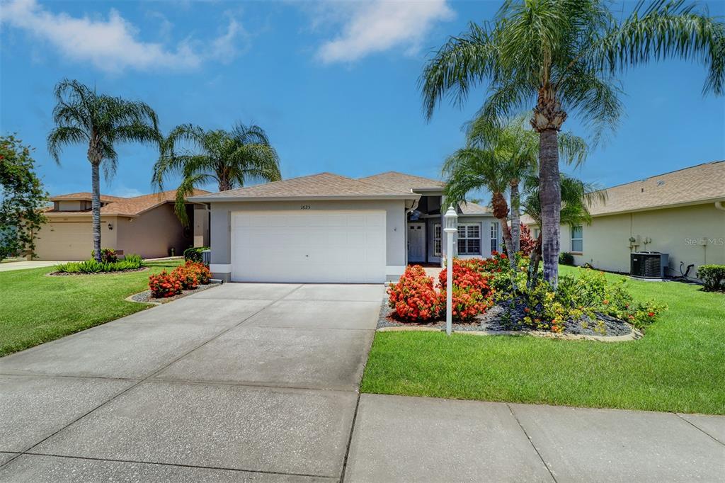 1625 Westerham Loop New Port Richey, FL 34655 - Photo 1 of 1 a front view of house with yard and green space