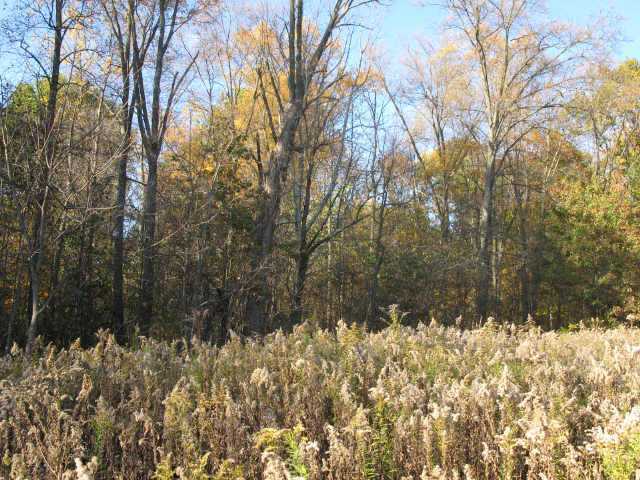 22714 Buck Run Road Milford Center, OH 43045 - Photo 1 of 1