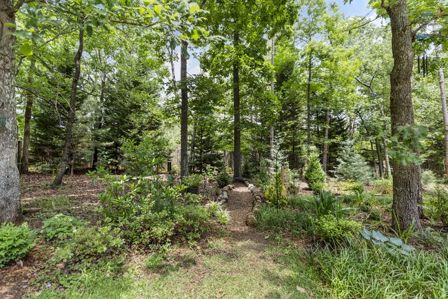 502 Red Maple Way Clemson, SC 29631 - Photo 32 of 37