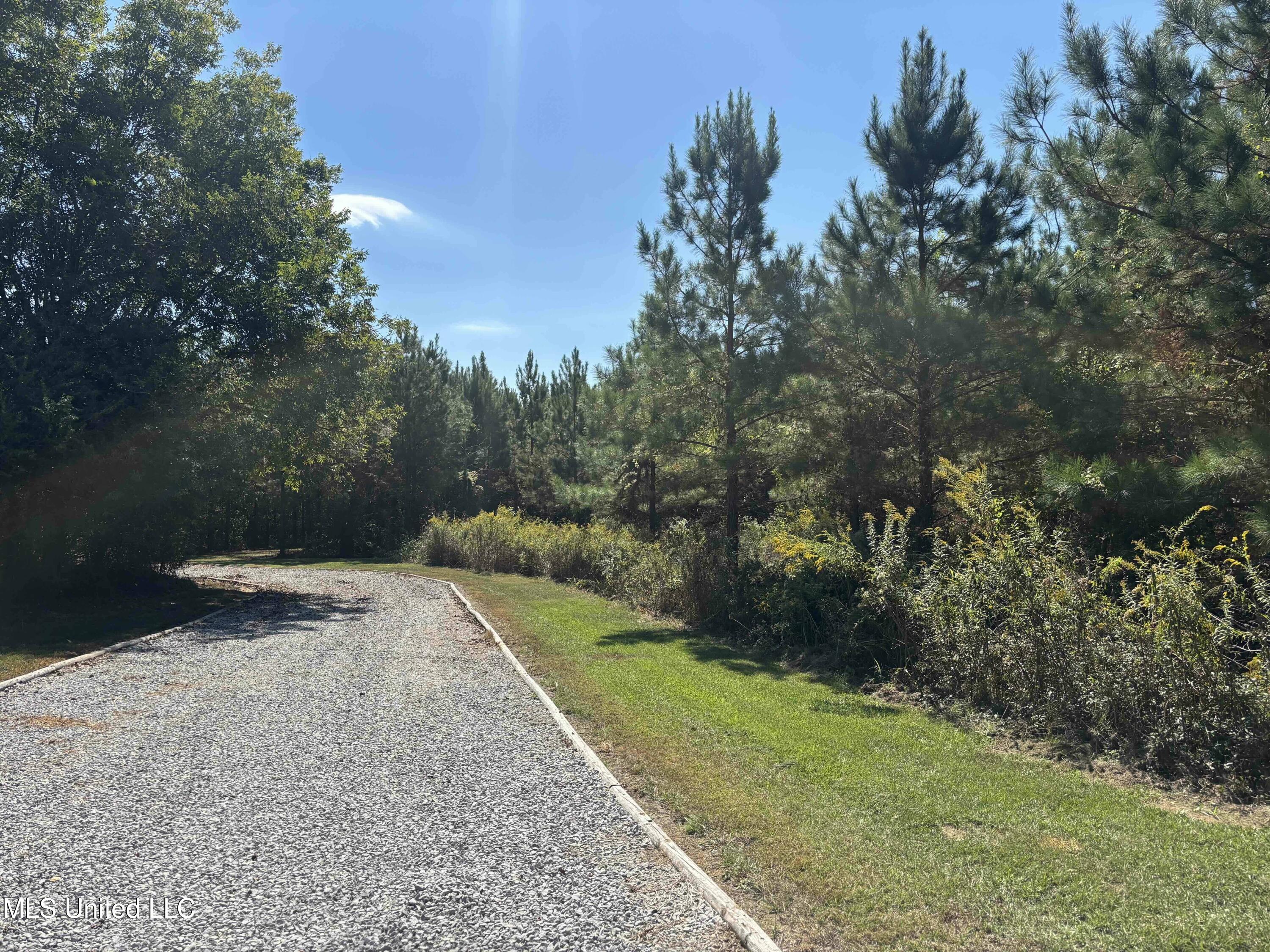 Shady Grove Road Goodman, MS 39079 - Photo 28 of 69 IMG_0479