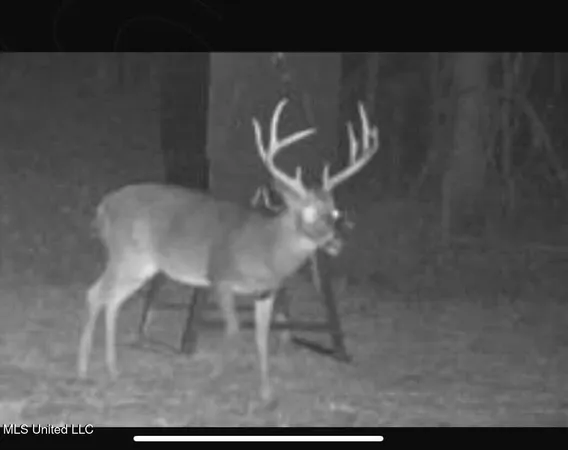 $752,500 | Shady Grove Road, Goodman, MS 39079