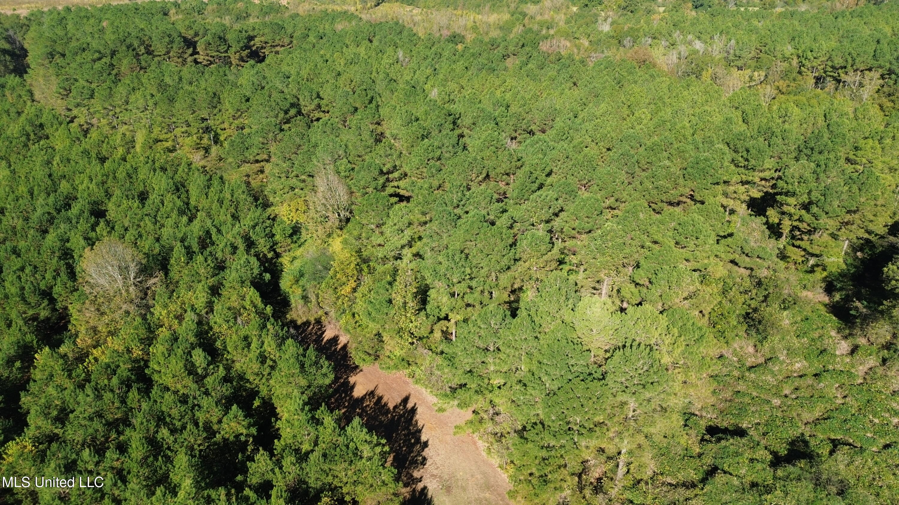Shady Grove Road Goodman, MS 39079 - Photo 33 of 69 DJI_0082