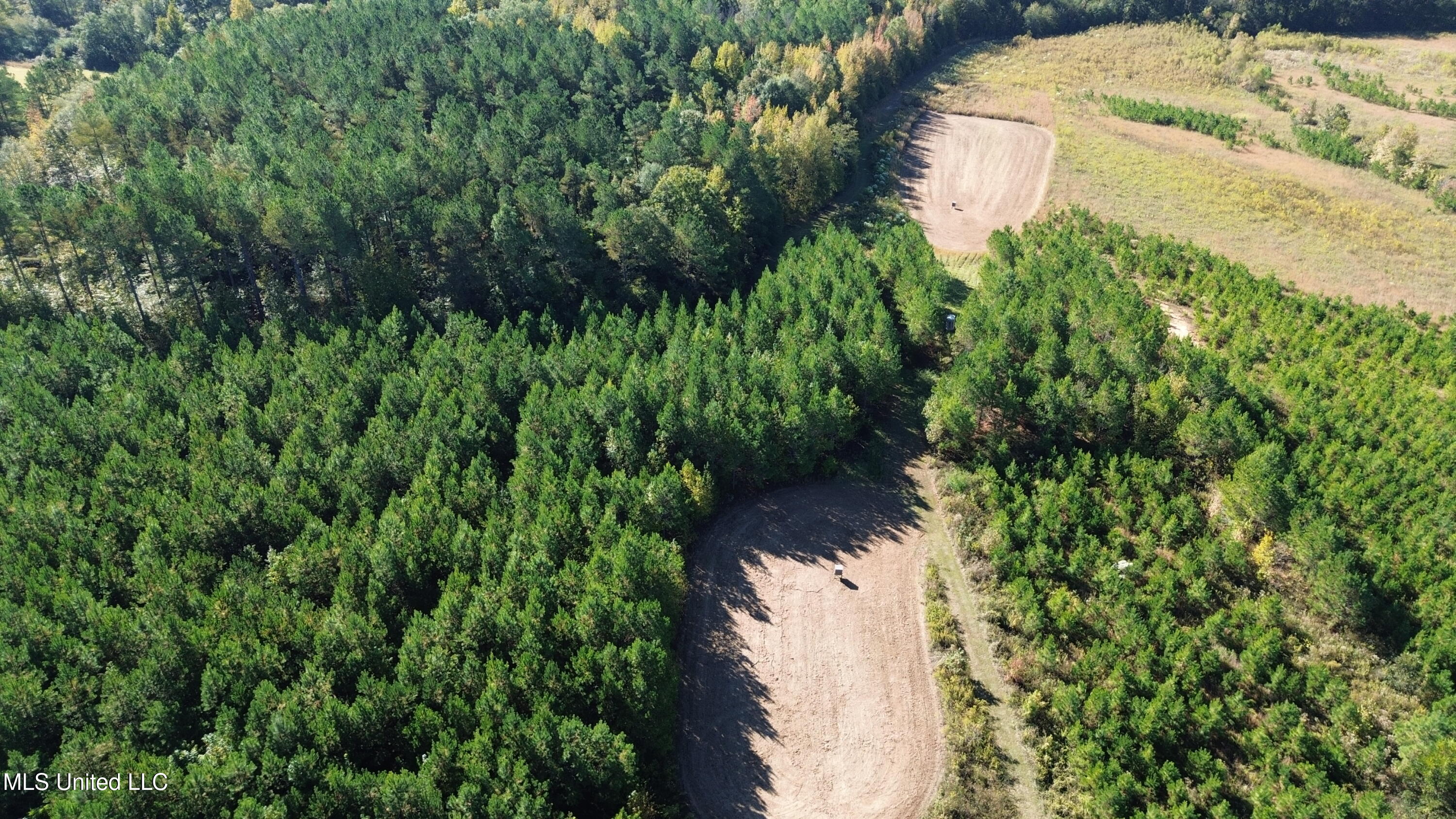 Shady Grove Road Goodman, MS 39079 - Photo 34 of 69 DJI_0085