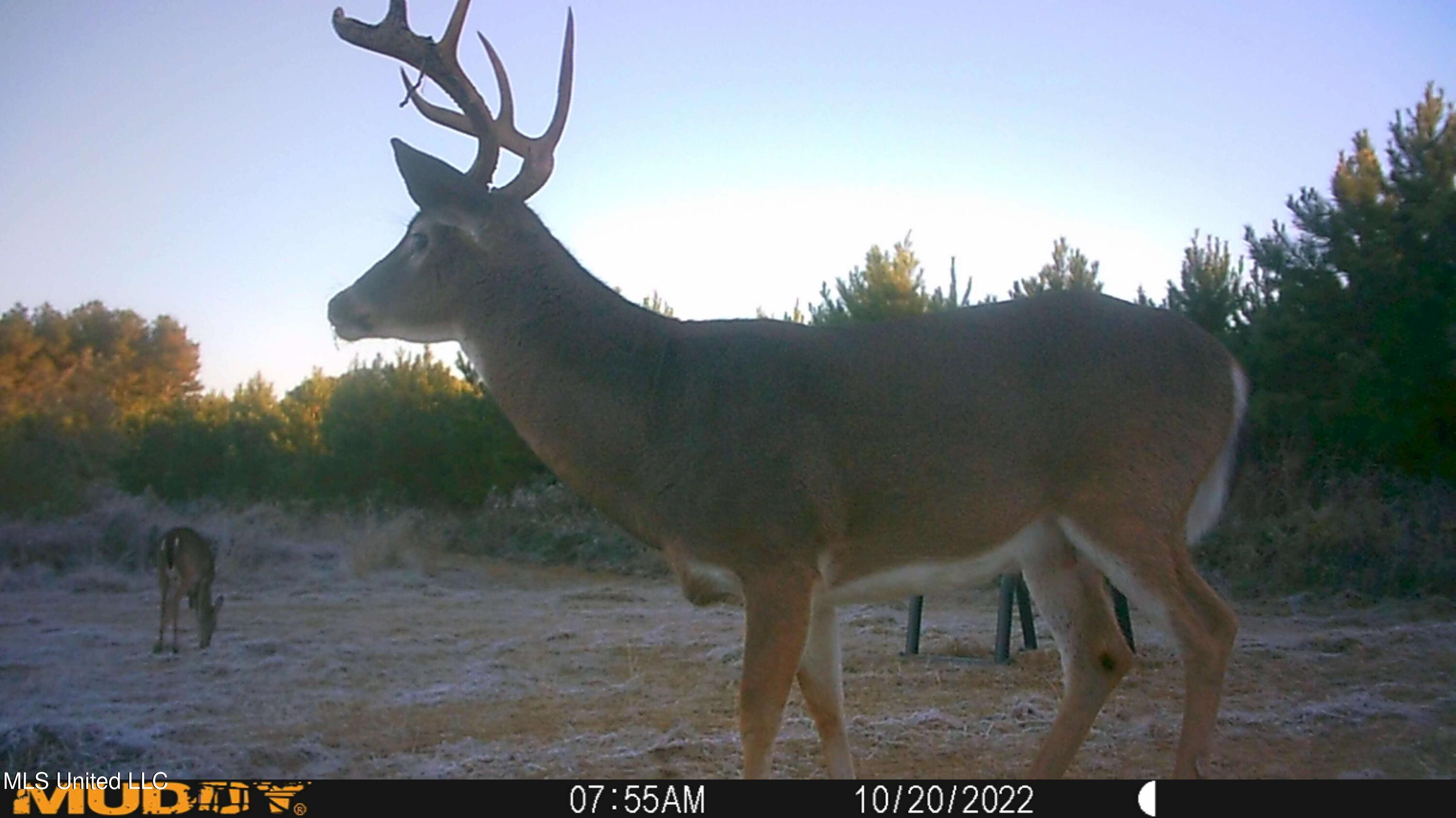 Shady Grove Road Goodman, MS 39079 - Photo 35 of 69 IMG_0551