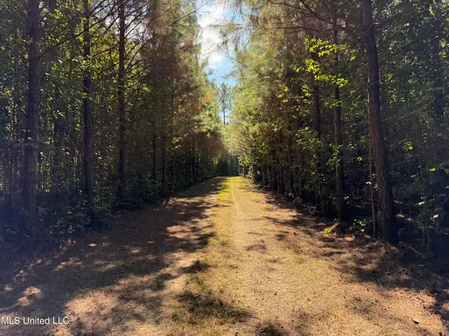 $752,500 | Shady Grove Road, Goodman, MS 39079