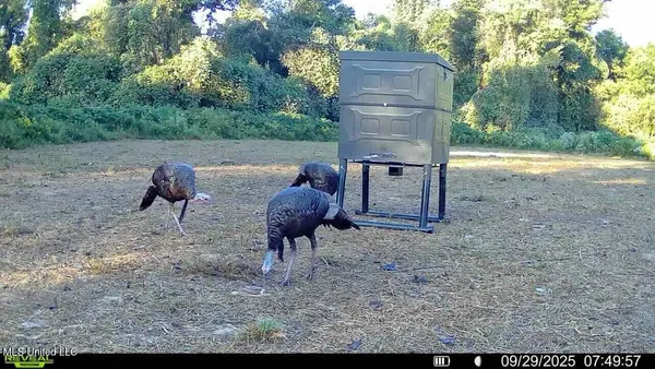 $752,500 | Shady Grove Road, Goodman, MS 39079