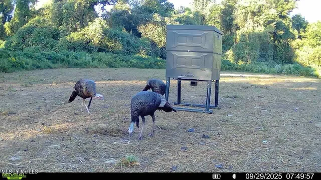 $752,500 | Shady Grove Road, Goodman, MS 39079