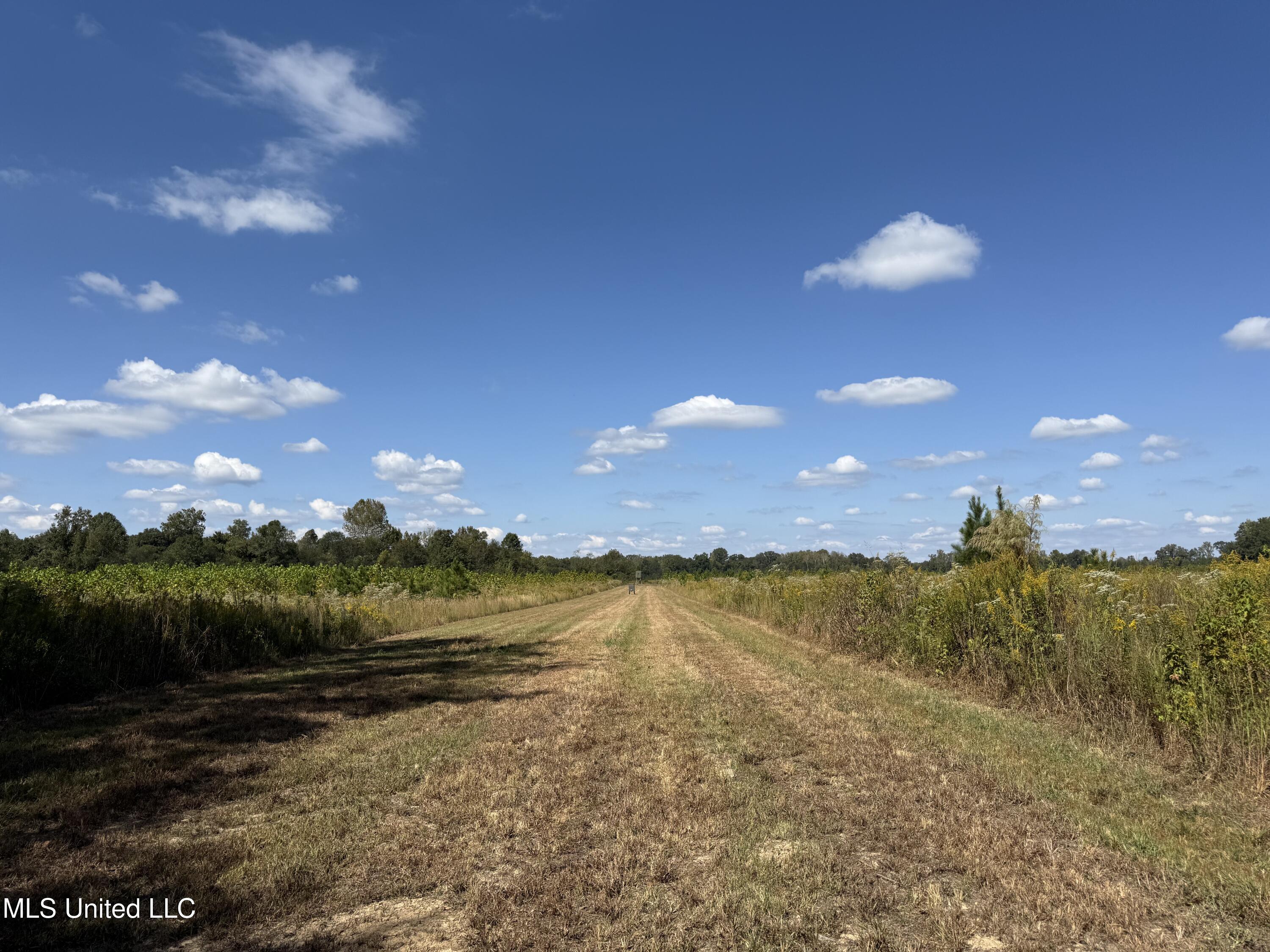 Shady Grove Road Goodman, MS 39079 - Photo 41 of 69 IMG_0574