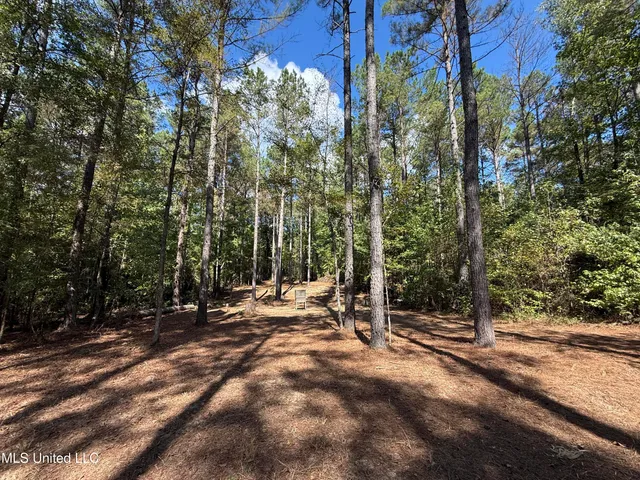 $752,500 | Shady Grove Road, Goodman, MS 39079