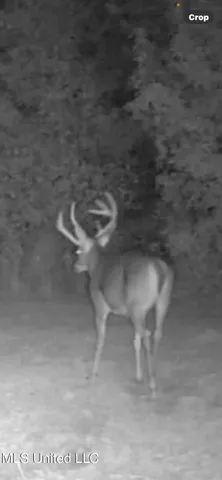 $752,500 | Shady Grove Road, Goodman, MS 39079