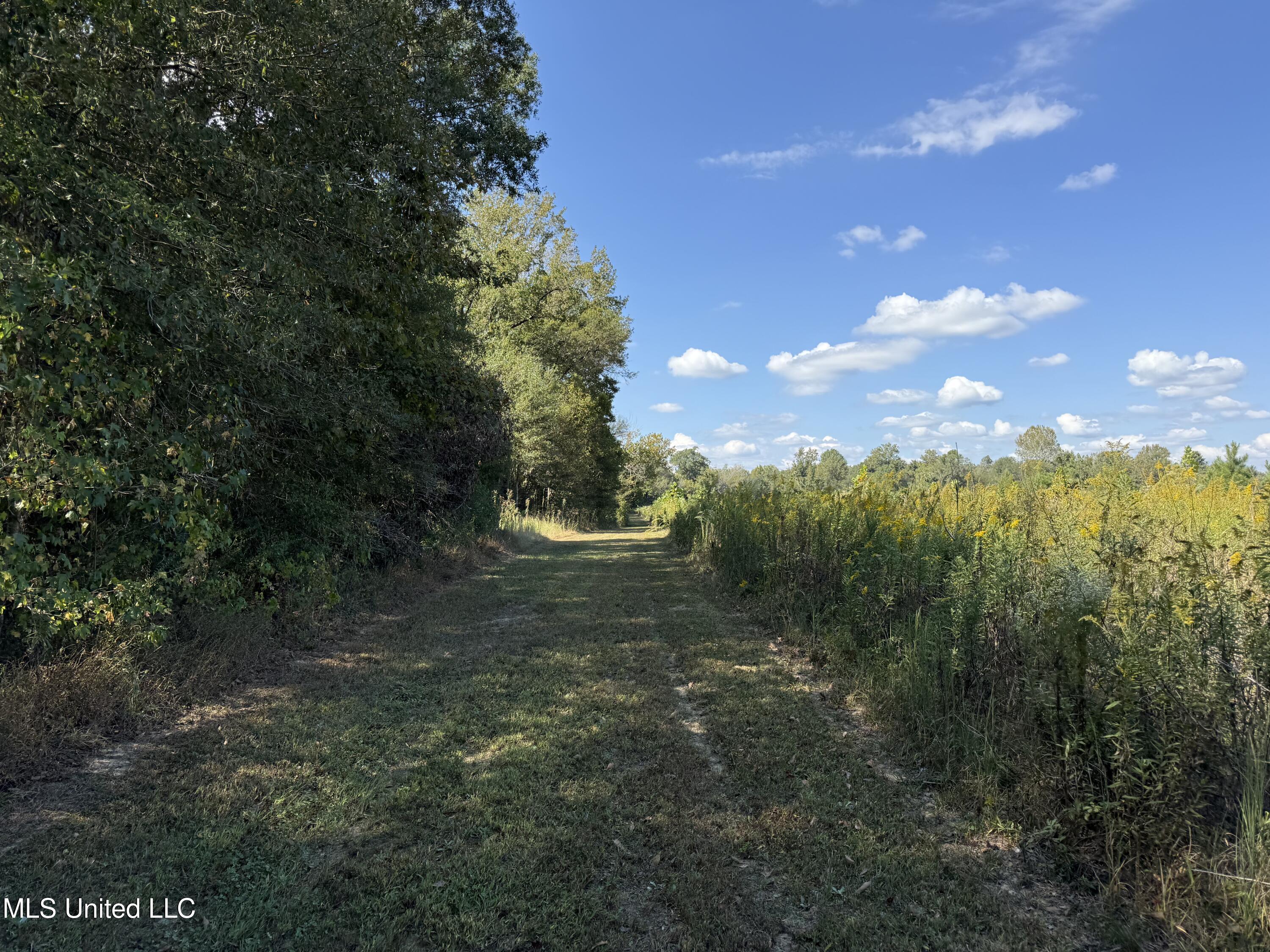 Shady Grove Road Goodman, MS 39079 - Photo 45 of 69 IMG_0571